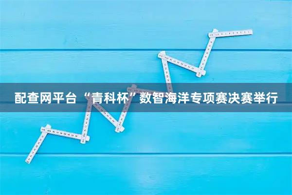 配查网平台 “青科杯”数智海洋专项赛决赛举行