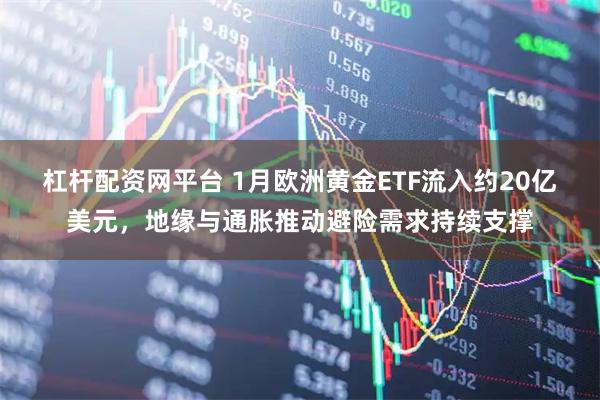 杠杆配资网平台 1月欧洲黄金ETF流入约20亿美元，地缘与通胀推动避险需求持续支撑